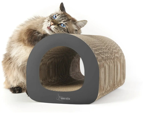 Kočka s kartonovým škrabadlem