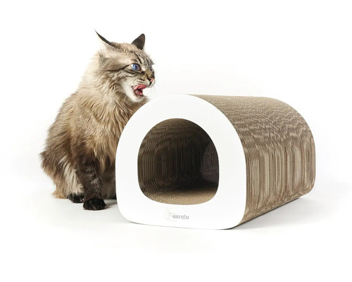 Kočka vedle kartonového škrabadla pro kočky