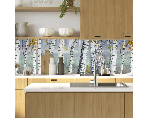 Kuchyňská zástěna s motivem březového lesa v moderní kuchyni
