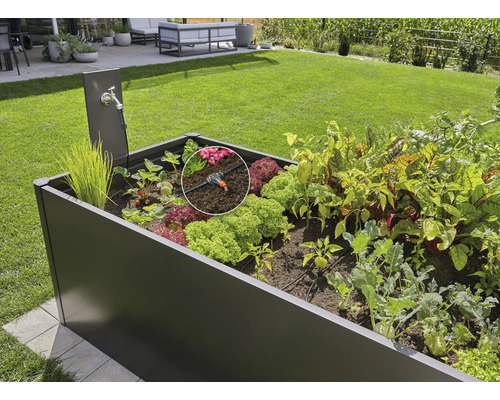 Zvýšený záhon se zavlažovacím systémem a různou zeleninou v zahradě