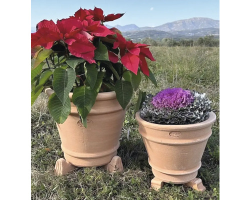 Dva terakotové květináče s rostlinami na zahradě.