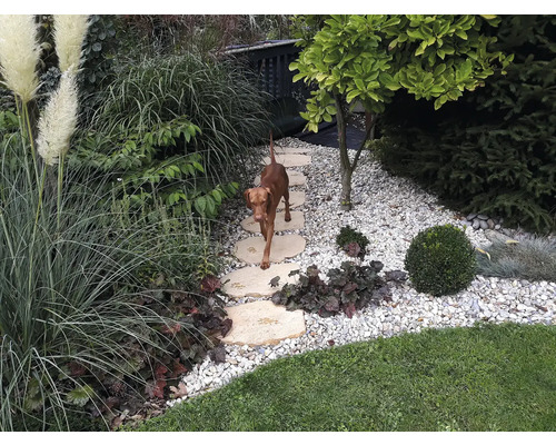 Upravená zahrada s kamennou cestou, štěrkovou plochou a psem