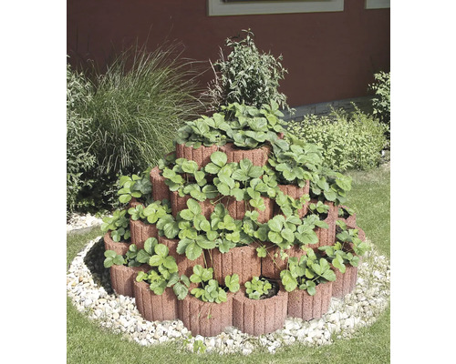 Stupňovitá bylinková zahrada s jahodami na zahradě