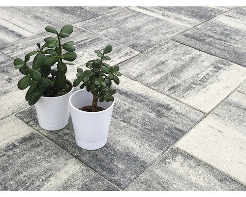 Zámková dlažba se dvěma hrnkovými rostlinami na zahradě.