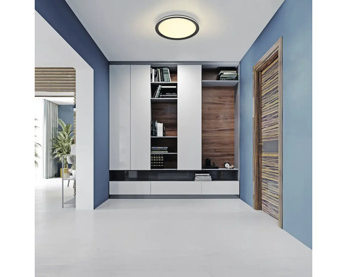 Chodba s vestavěnou skříní, stropním svítidlem a dřevěnými dveřmi