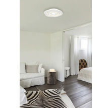 Světlý obývací pokoj s moderním stropním svítidlem, pohovkou a zebřím kobercem