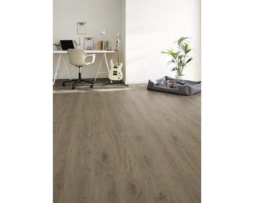 Světlá místnost s laminátovou podlahou, psacím stolem, židlí, kytarou, pokojovou rostlinou a psí postelí