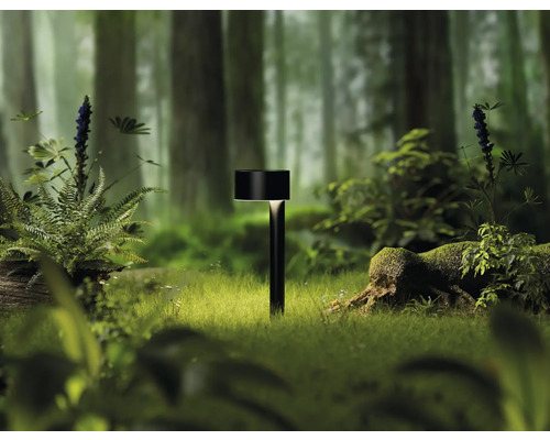 Zahradní lampa v lese