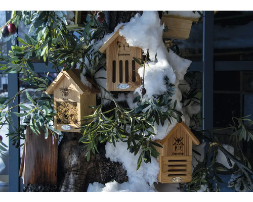 Několik dřevěných hmyzích hotelů s různými motivy hmyzu visí na stromě.