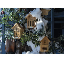 Několik dřevěných hmyzích hotelů na kmeni stromu s větvemi a sněhem.