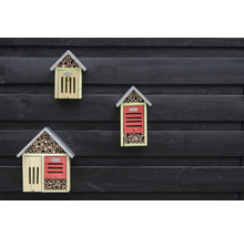 Tři hmyzí hotely různých designů na tmavé dřevěné stěně