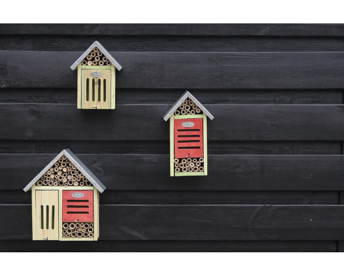 Tři hmyzí hotely různých designů na tmavé dřevěné stěně