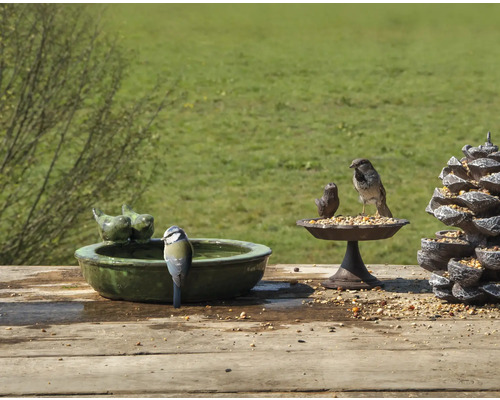 Scéna s pítkem pro ptáky, krmítkem a ptáky na zahradě