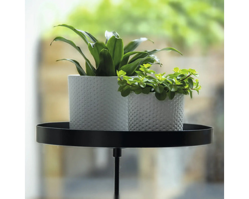 Dvě rostliny v bílých květináčích na černém stojanu na rostliny.