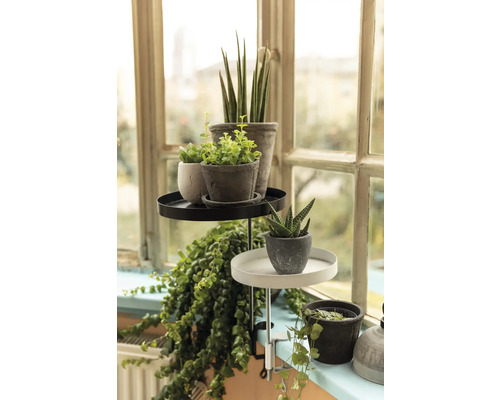 Stojan na rostliny s rostlinami před oknem