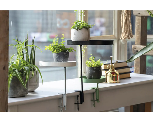 Dekorativní stojany na rostliny se stolními svorkami a hrnkové rostliny na okenním parapetu.