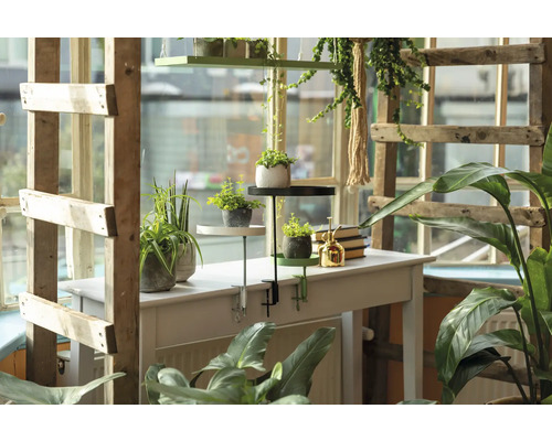 Scéna s rostlinami na stole s policí na rostliny