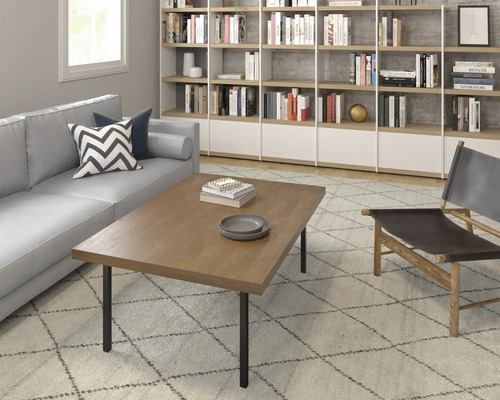 Obývací pokoj s pohovkou, dřevěným stolem, knihovnou a křeslem na koberci.