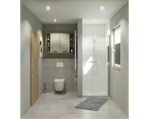 Koupelna se sprchou, toaletou, umyvadlem a zrcadlem