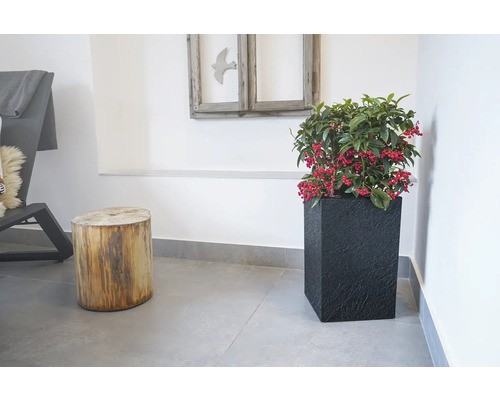Interiérová scéna s rostlinou v černém kvádrovém květináči vedle stoličky z kmene stromu.