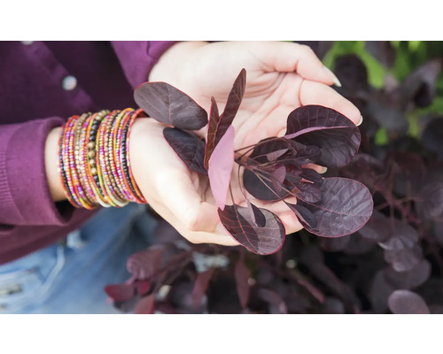 Detailní záběr osoby držící parukovku v rukou