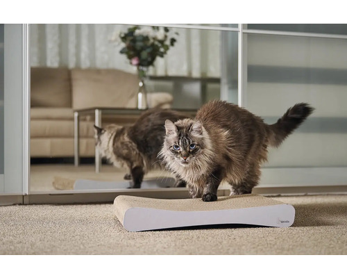 Kočka na škrabadle před zrcadlem