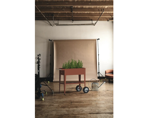 Květináč na kolečkách s bylinkami a konví ve studiu