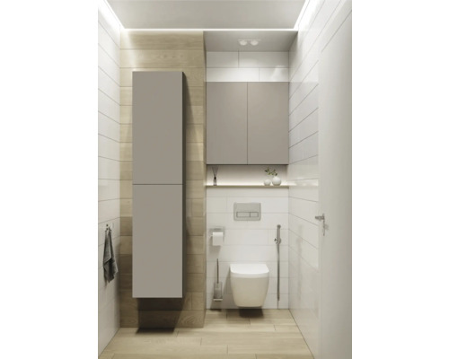 Moderní koupelna s toaletou, závěsnou skříňkou a skříňkou pod umyvadlo
