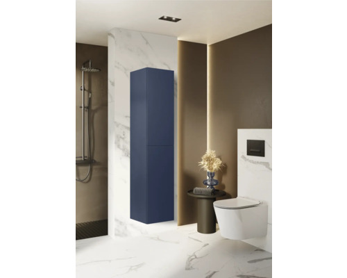 Moderní koupelna s modrou vysokou skříní, toaletou a sprchou