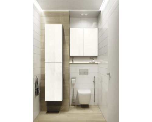 Moderní koupelna s toaletou, umyvadlovou skříňkou a vysokou skříní