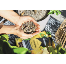 Ruce drží keramzit pro zlepšení půdy