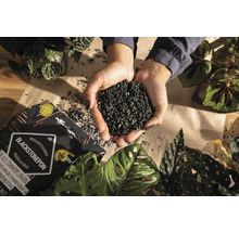 Blackstonepon rostlinný substrát v rukou, vhodný pro všechny pokojové rostliny