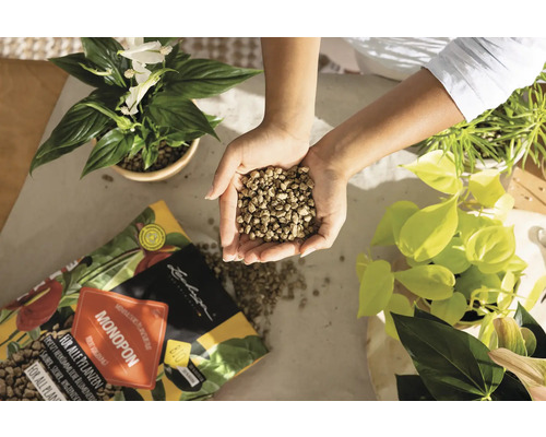 Osoba drží keramzit v rukou vedle pokojových rostlin a balení hnojiva pro rostliny Lechuza Monopon.