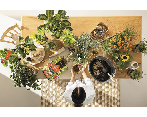 Pohled shora na dřevěný stůl s pokojovými rostlinami, květinovou zeminou a ženou držící v rukou květinovou zeminu