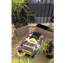 Balkónová scéna s květináči a 40litrovým balením zeminy Lechuza Unipon pro všechny venkovní a balkonové rostliny