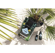 Speciální substrát, hnojivo a ošetřující prostředky pro palmy a středomořské rostliny s palmou v květináči