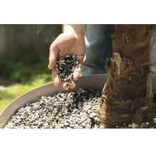 Ruka sype rostlinný granulát do květináče k rostlině.