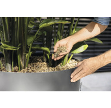 Osoba plní keramzit do květináče s rostlinou