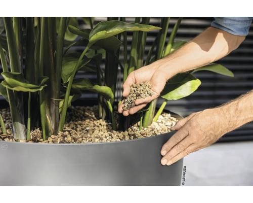 Osoba plní keramzit do květináče s rostlinou