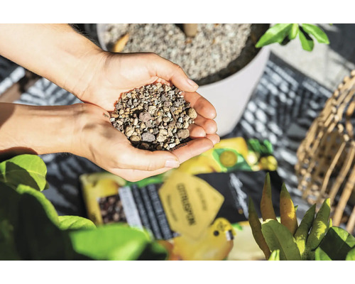 Ruce drží keramzit jako drenážní materiál pro rostliny