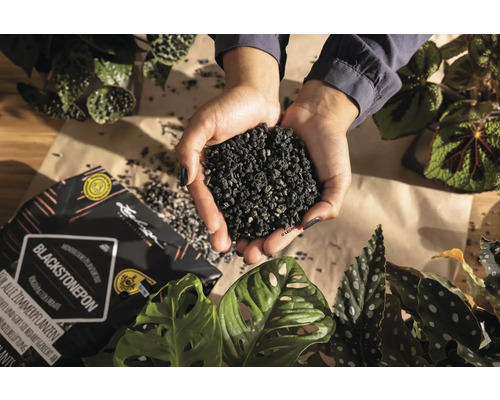 Ruce drží rostlinný granulát Lechuza Blackstonepon vedle pokojových rostlin a otevřeného balení