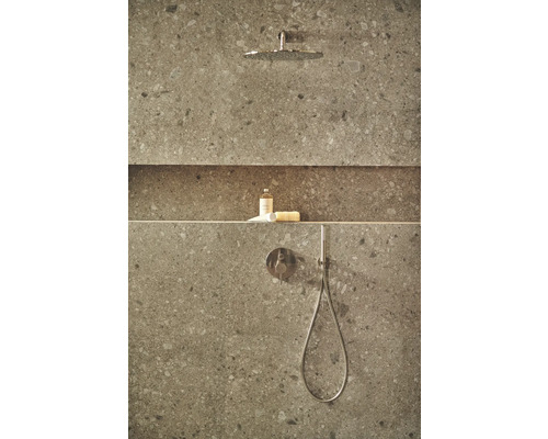 Koupelna s hlavovou sprchou, ruční sprchou, sprchovou baterií, policí a pečujícími produkty před obloženou stěnou
