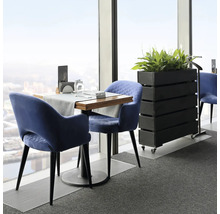 Scéna se stolem, židlemi a květináčem v místnosti u okna