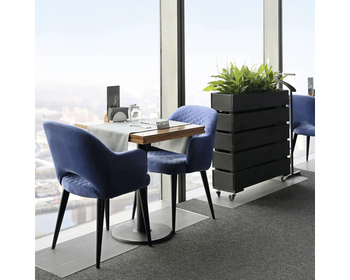 Scéna se stolem, židlemi a květináčem v místnosti u okna