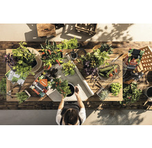 Pohled shora na osobu pracující u dřevěného stolu s různými rostlinami a zahradním nářadím