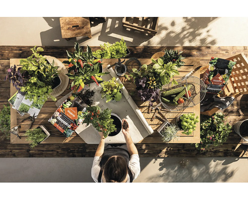 Pohled shora na osobu pracující u dřevěného stolu s různými rostlinami a zahradním nářadím