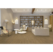 Světlý obývací pokoj s dřevěnou podlahou, knihovnou, pohovkou a křesly