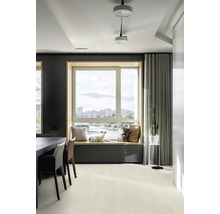 Světlý obývací pokoj s parapetem, polštáři a psem