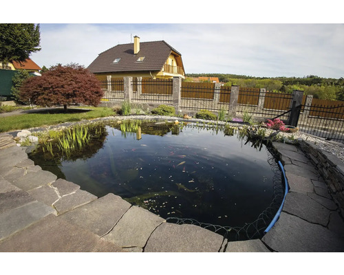 Zahradní jezírko s kamenným břehem, obklopené zahradou s rostlinami a domem v pozadí.