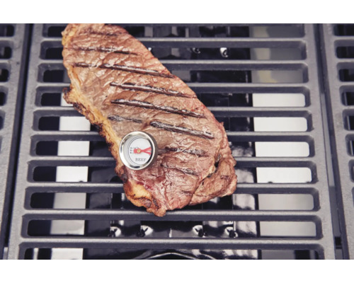 Grilovaný steak s teploměrem na maso na grilovací mřížce